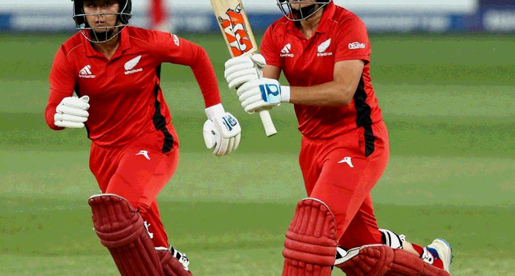 Paddle, Passport and Comment Box: Where Cricket's Transfer-Window Rhythm Is Born Paddle, Passport and Comment Box: Where Cricket's Transfer-Window Rhythm Is Born