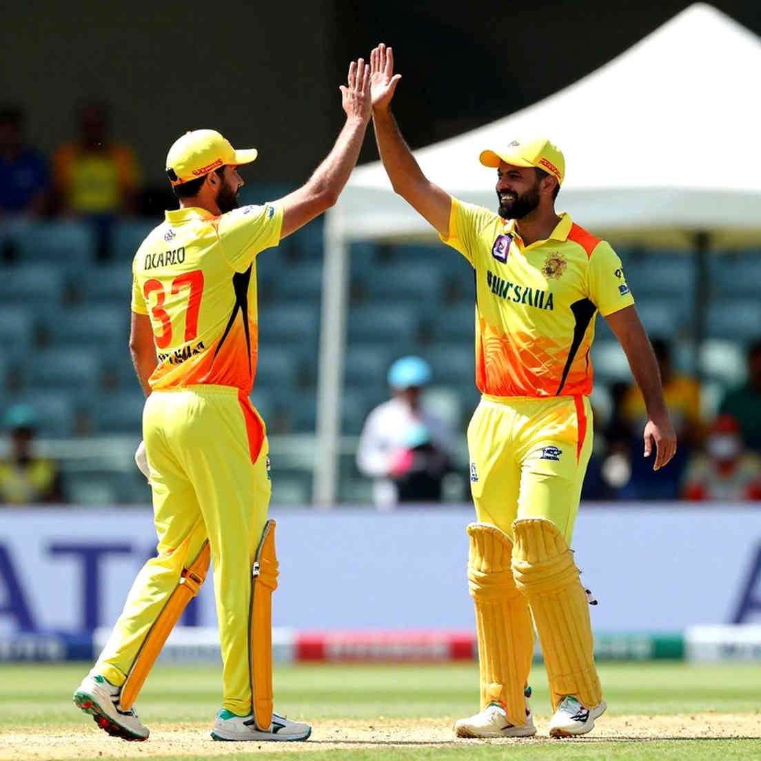 The Empty Cell: When Cricket Data Refuses to Speak The Empty Cell: When Cricket Data Refuses to Speak